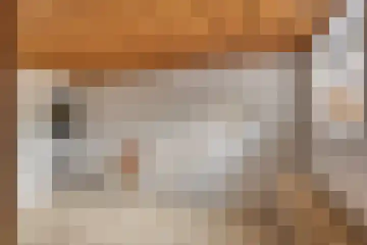 Schout 14 Hoorn thumbnail 35