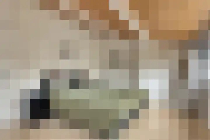 Schout 14 Hoorn thumbnail 4