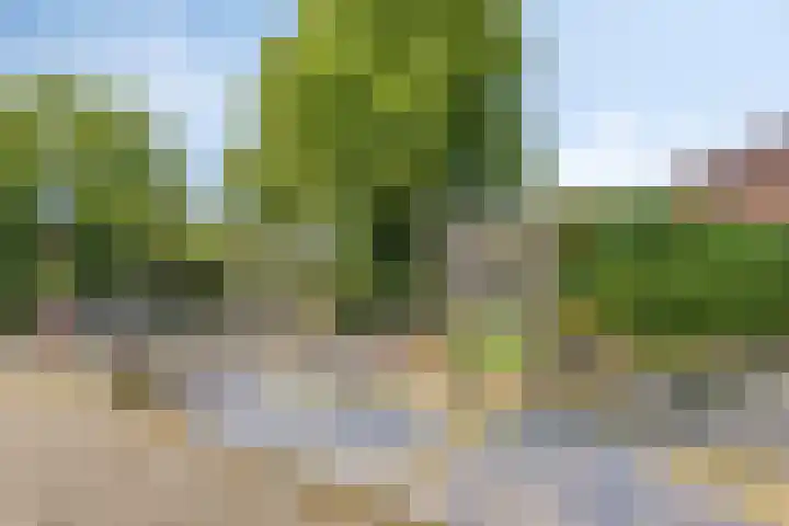 Schout 14 Hoorn thumbnail 42