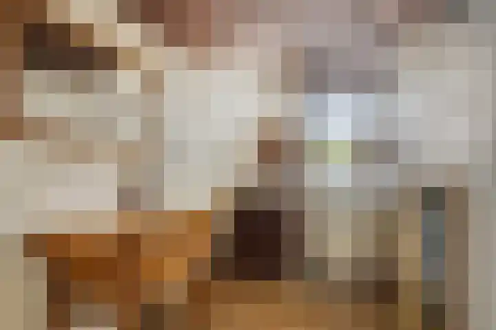 Schout 14 Hoorn thumbnail 7