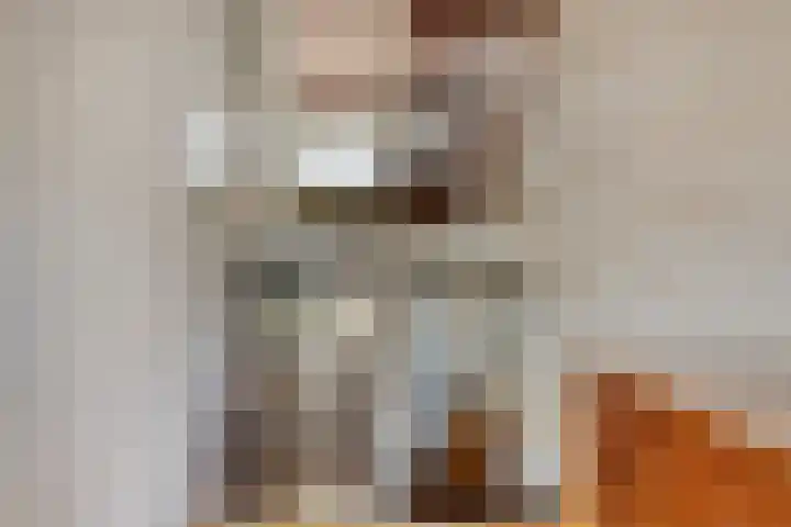 Schout 14 Hoorn thumbnail 8