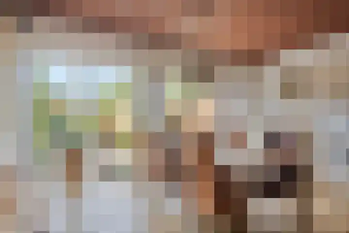 Schout 14 Hoorn thumbnail 9