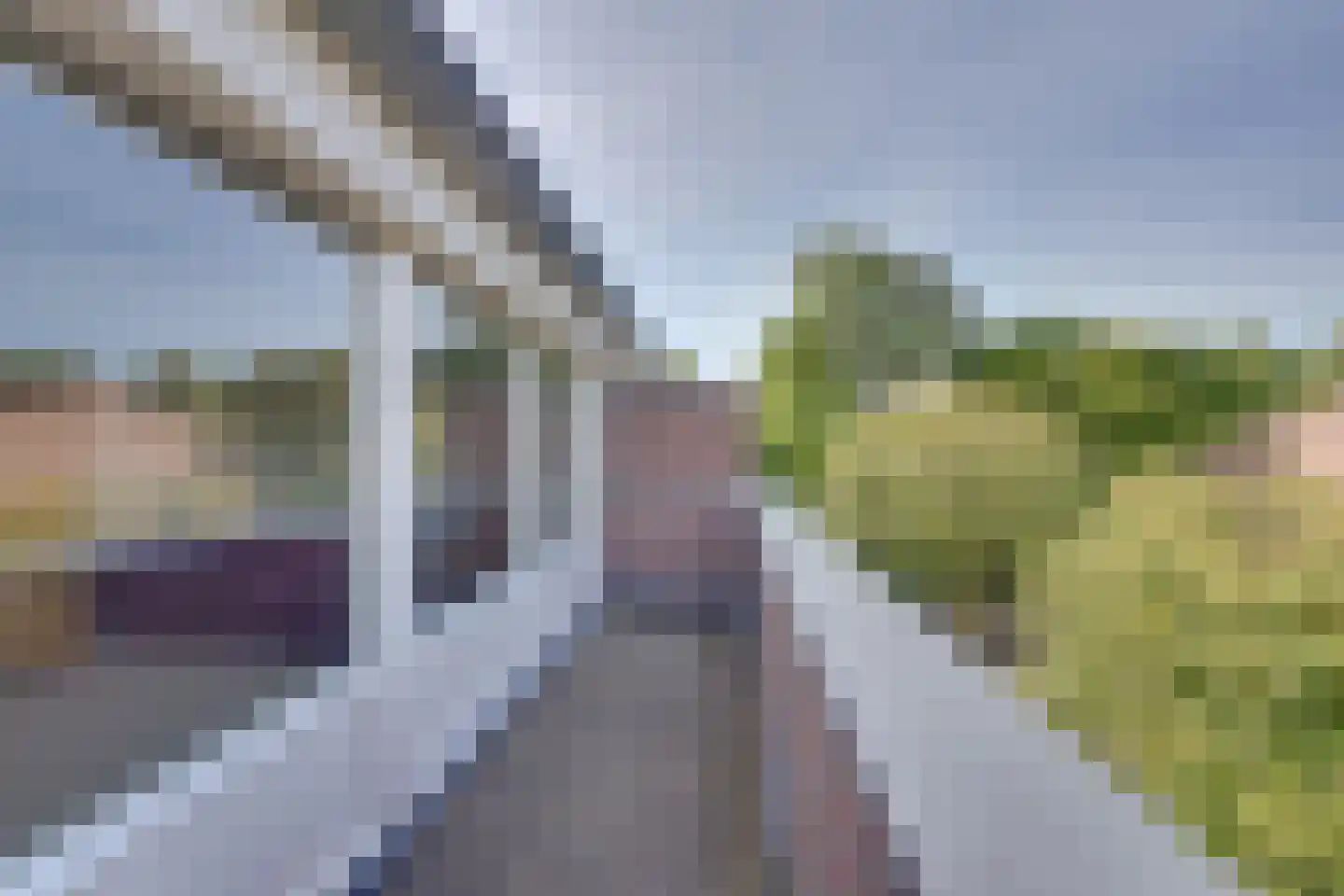 Schout 23 Hoorn thumbnail 34