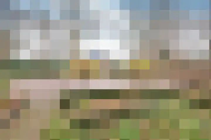 Schout 24 Naarden thumbnail 15