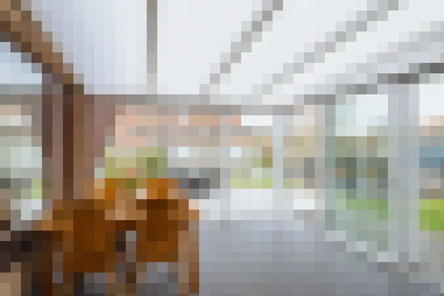 Schout 28 Naaldwijk thumbnail 12