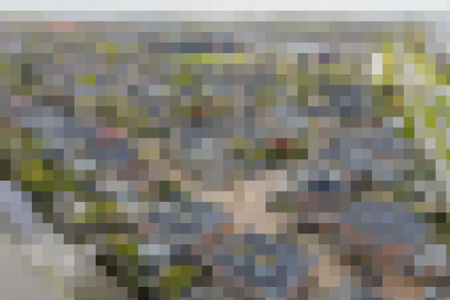 Schout 28 Naaldwijk thumbnail 43