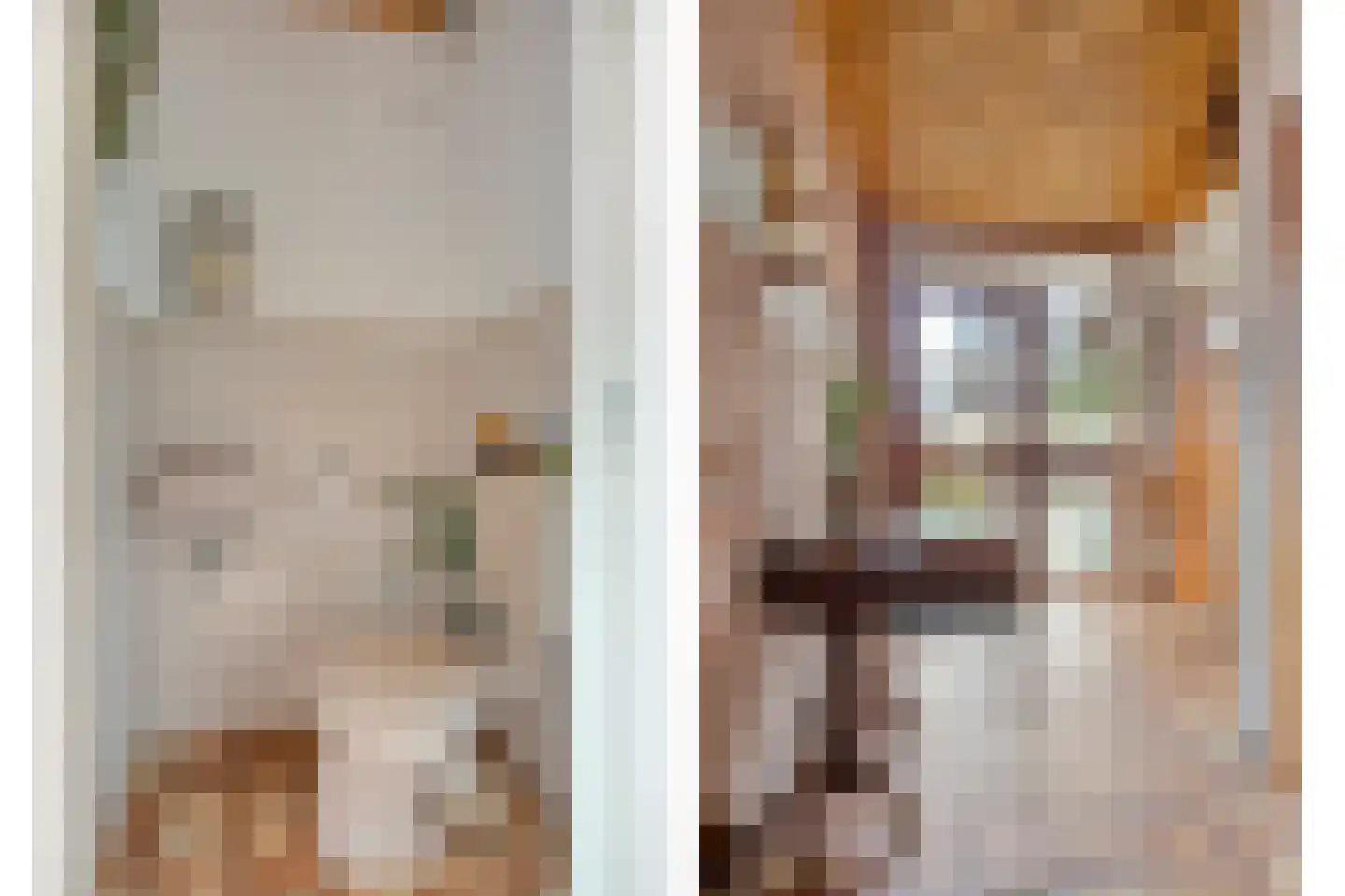 Schout 3 Maasland thumbnail 11