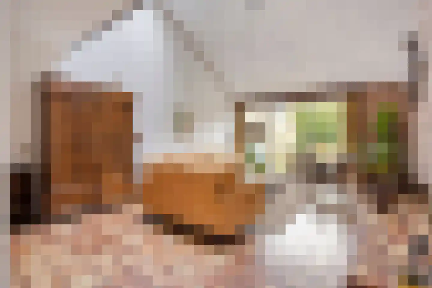 Schout 3 Maasland thumbnail 12