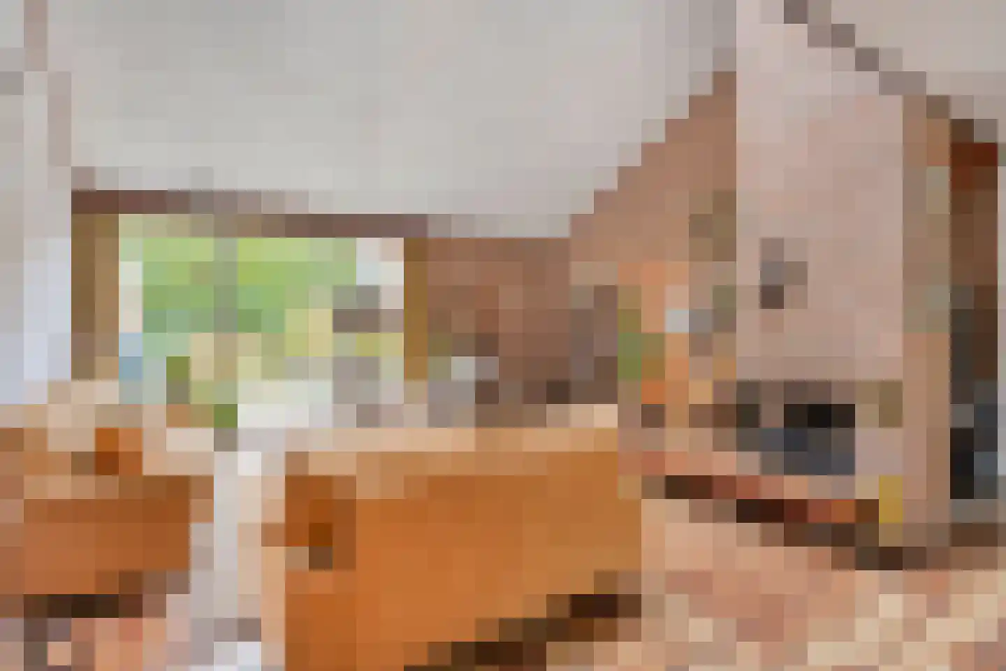 Schout 3 Maasland thumbnail 13
