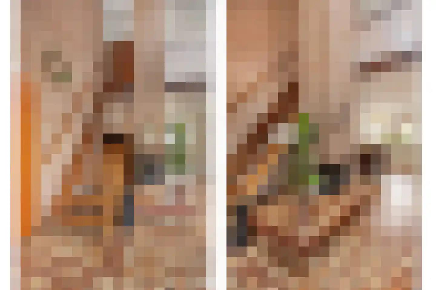 Schout 3 Maasland thumbnail 17