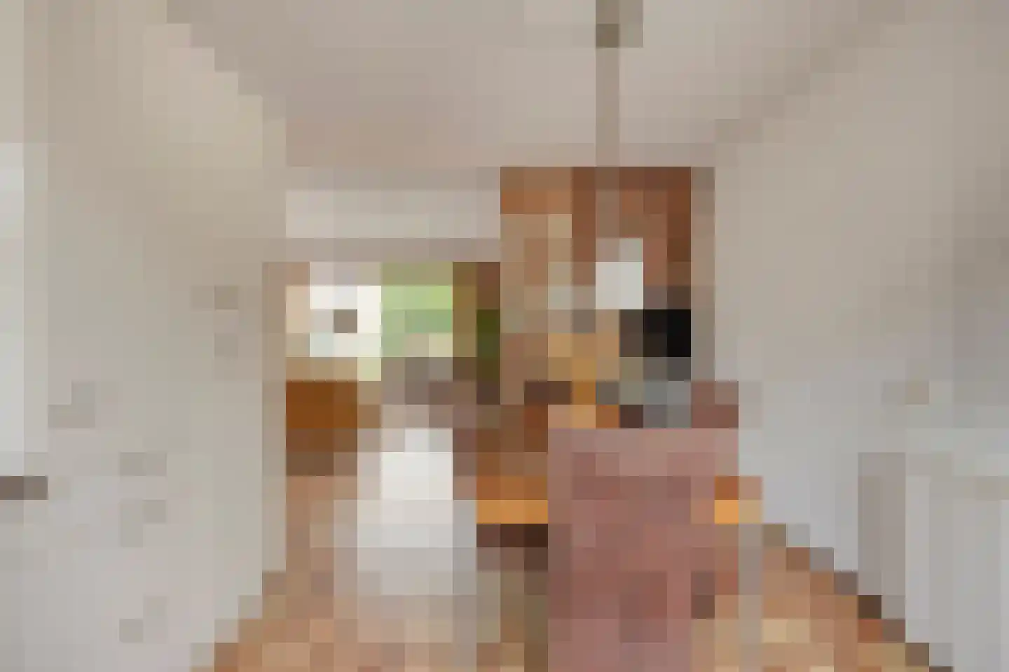 Schout 3 Maasland thumbnail 22