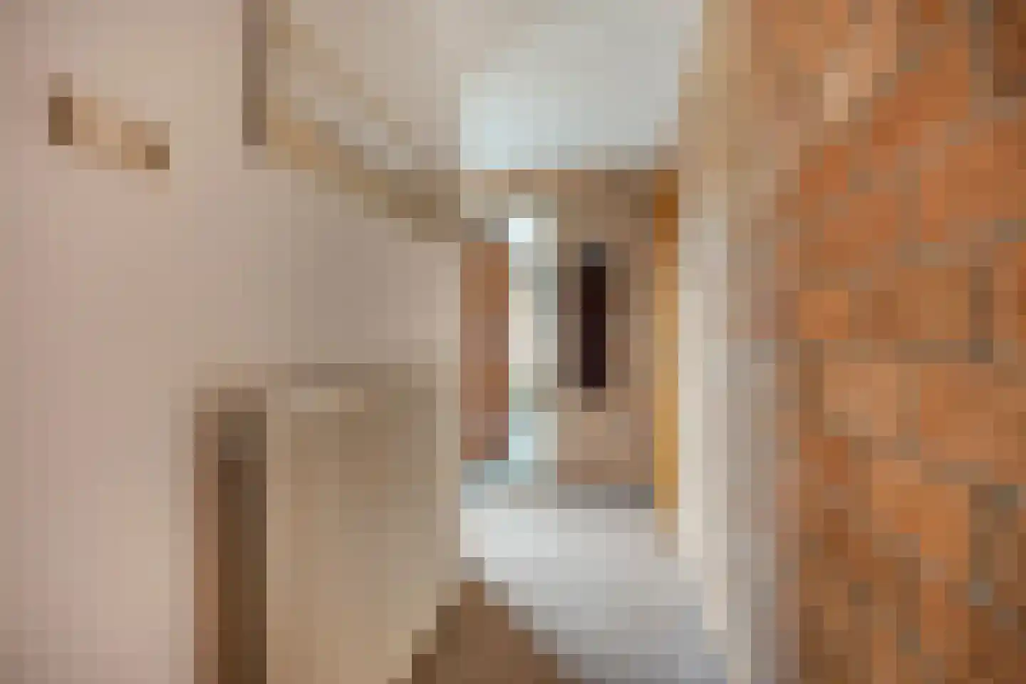 Schout 3 Maasland thumbnail 25