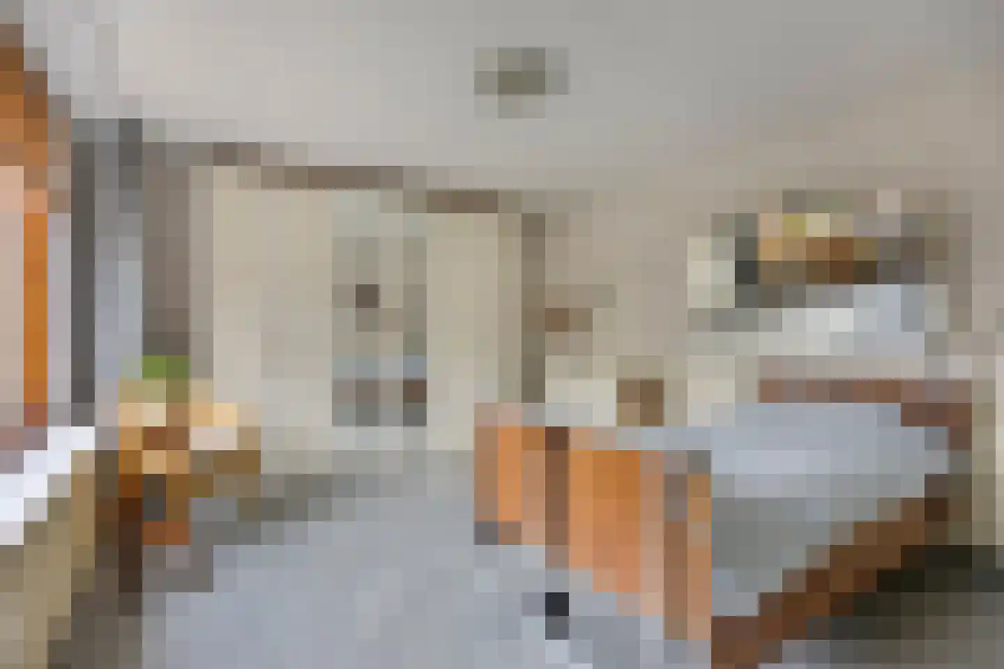 Schout 3 Maasland thumbnail 29