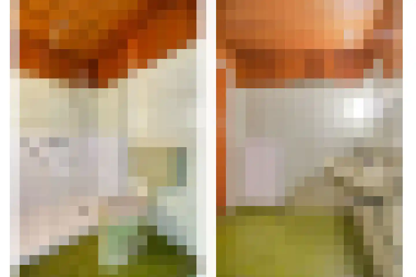 Schout 3 Maasland thumbnail 31
