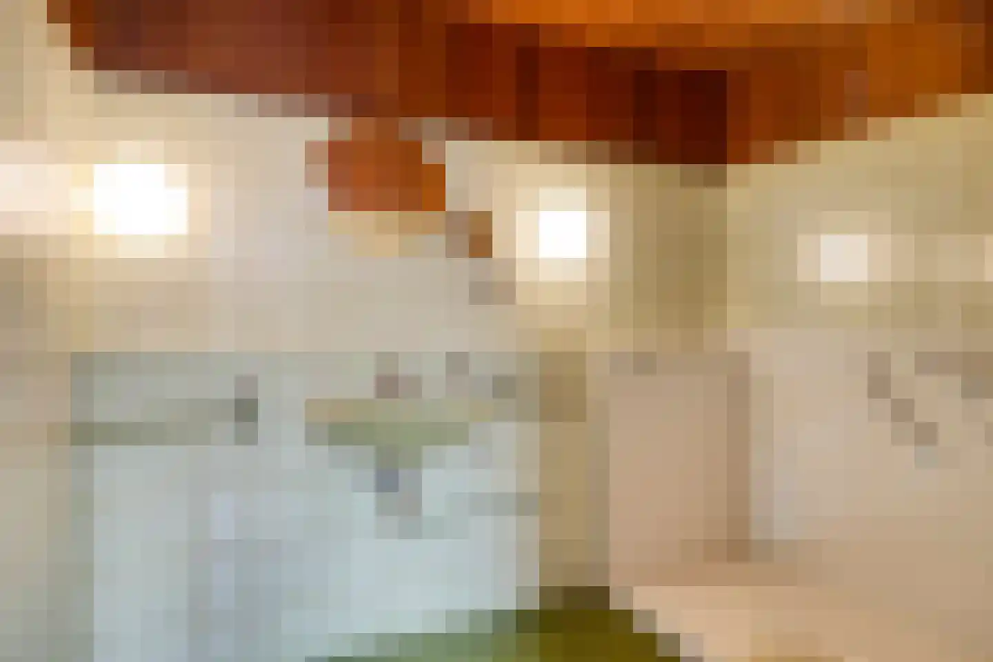 Schout 3 Maasland thumbnail 32