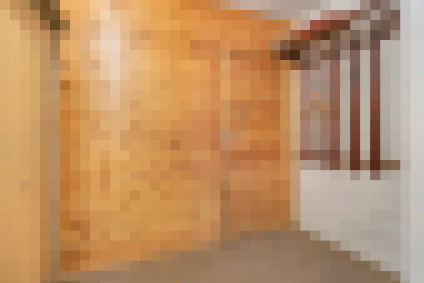 Schout 3 Maasland thumbnail 34