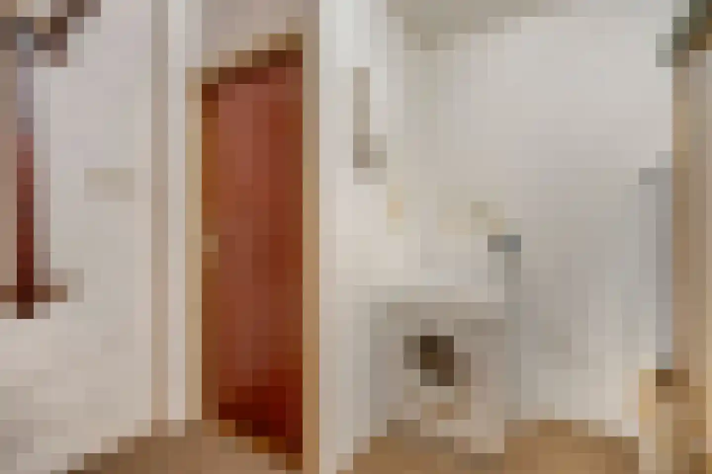 Schout 3 Maasland thumbnail 35