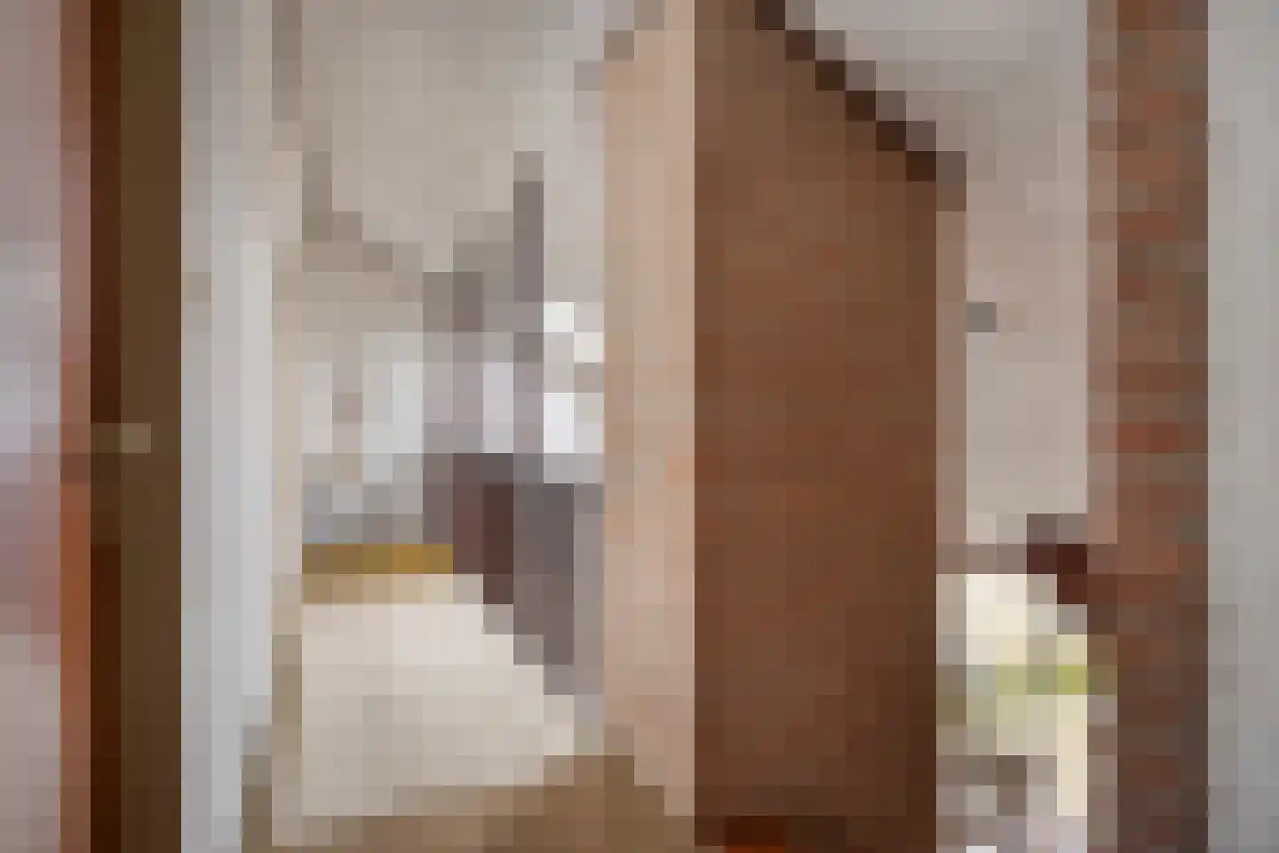 Schout 3 Maasland thumbnail 36