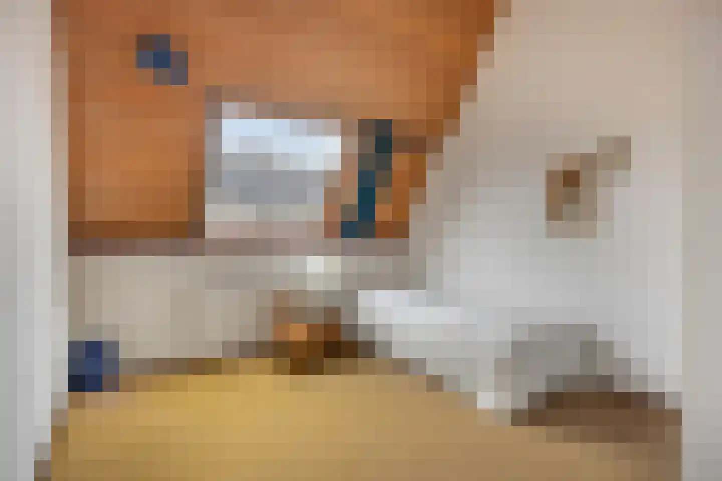 Schout 3 Maasland thumbnail 42