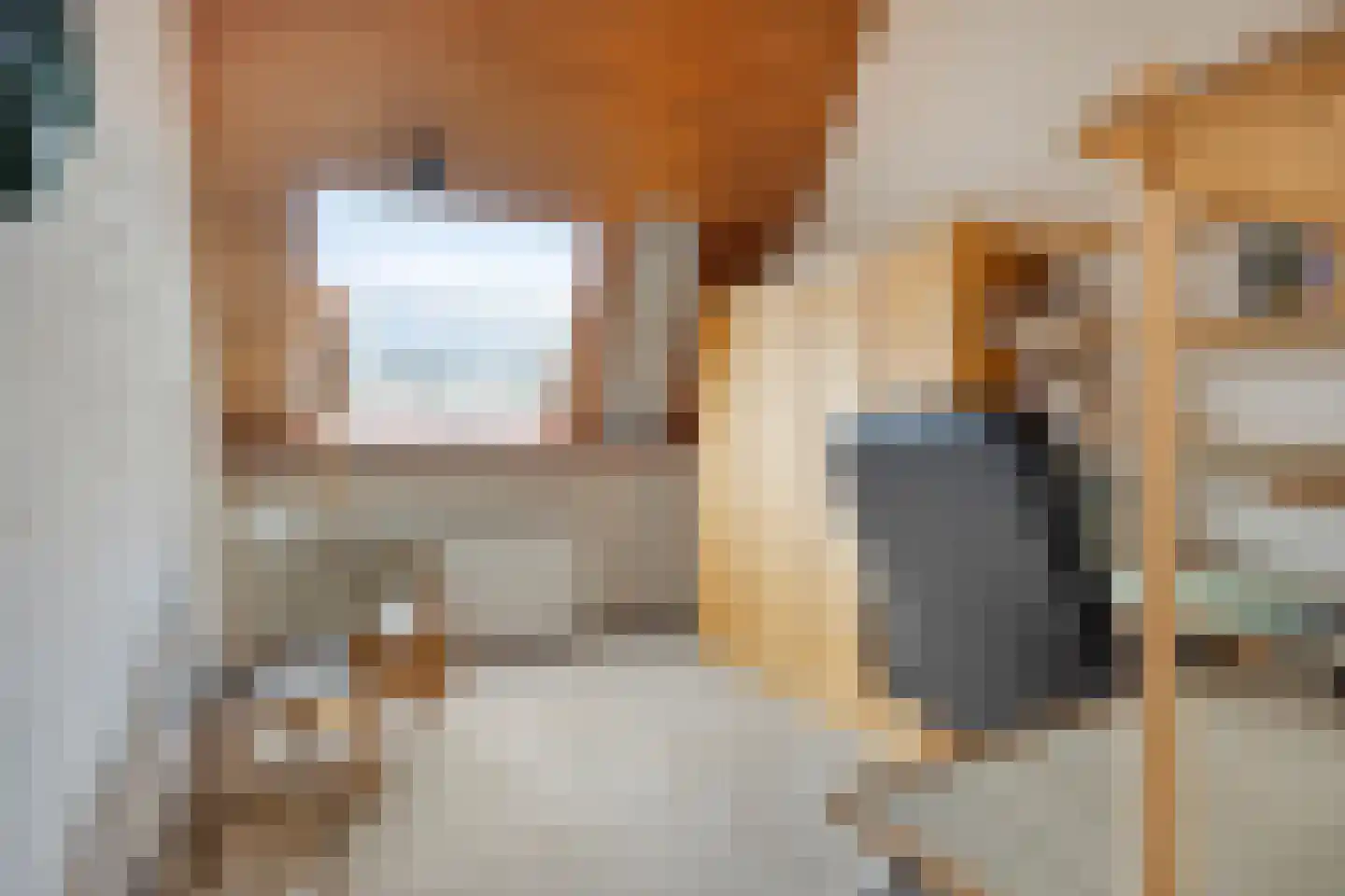 Schout 3 Maasland thumbnail 44