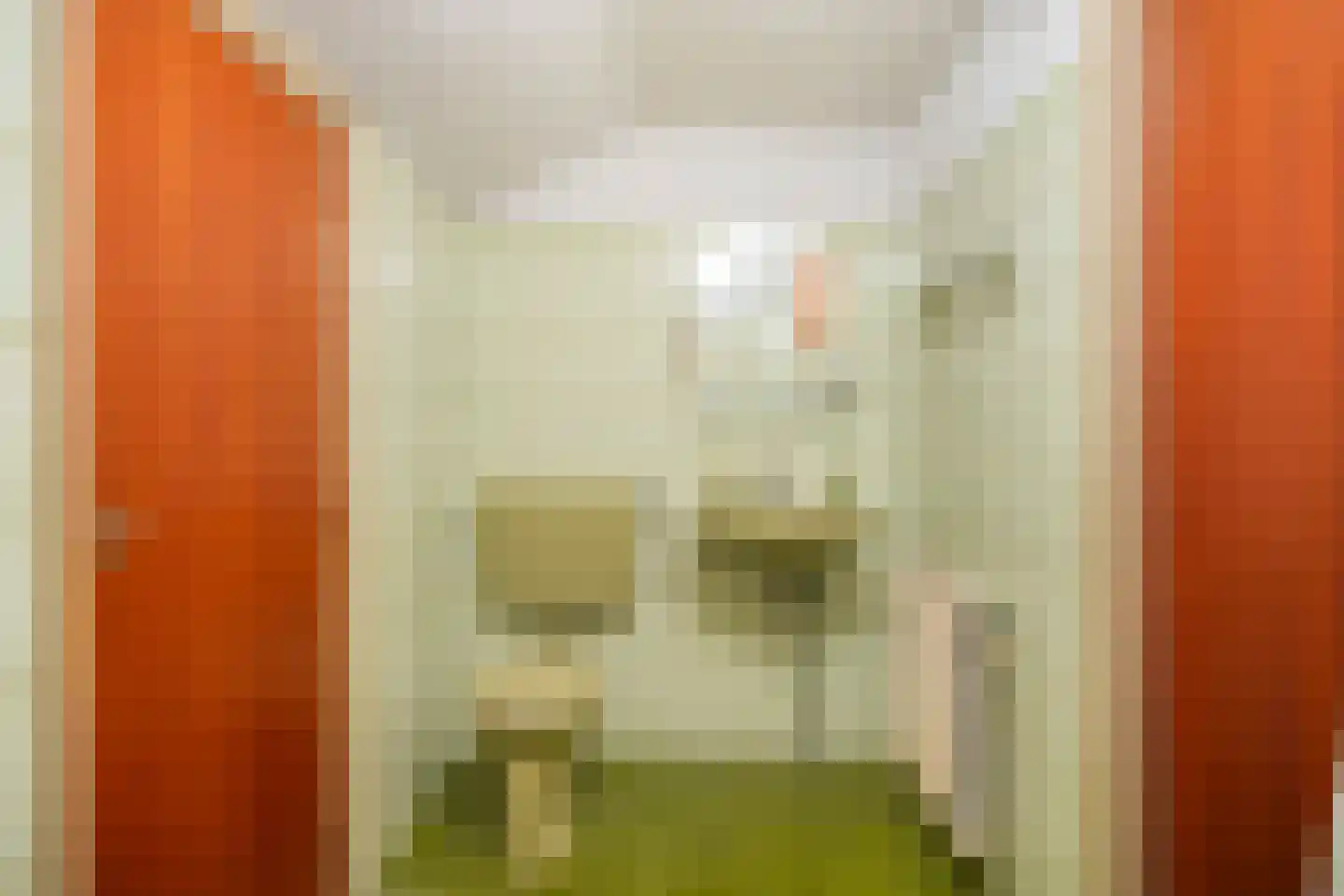 Schout 3 Maasland thumbnail 46