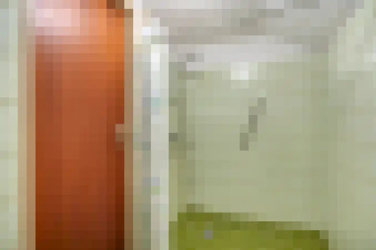 Schout 3 Maasland thumbnail 47