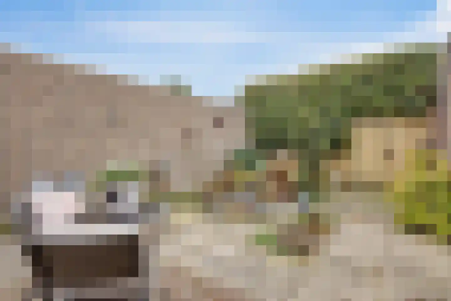 Schout 3 Maasland thumbnail 49