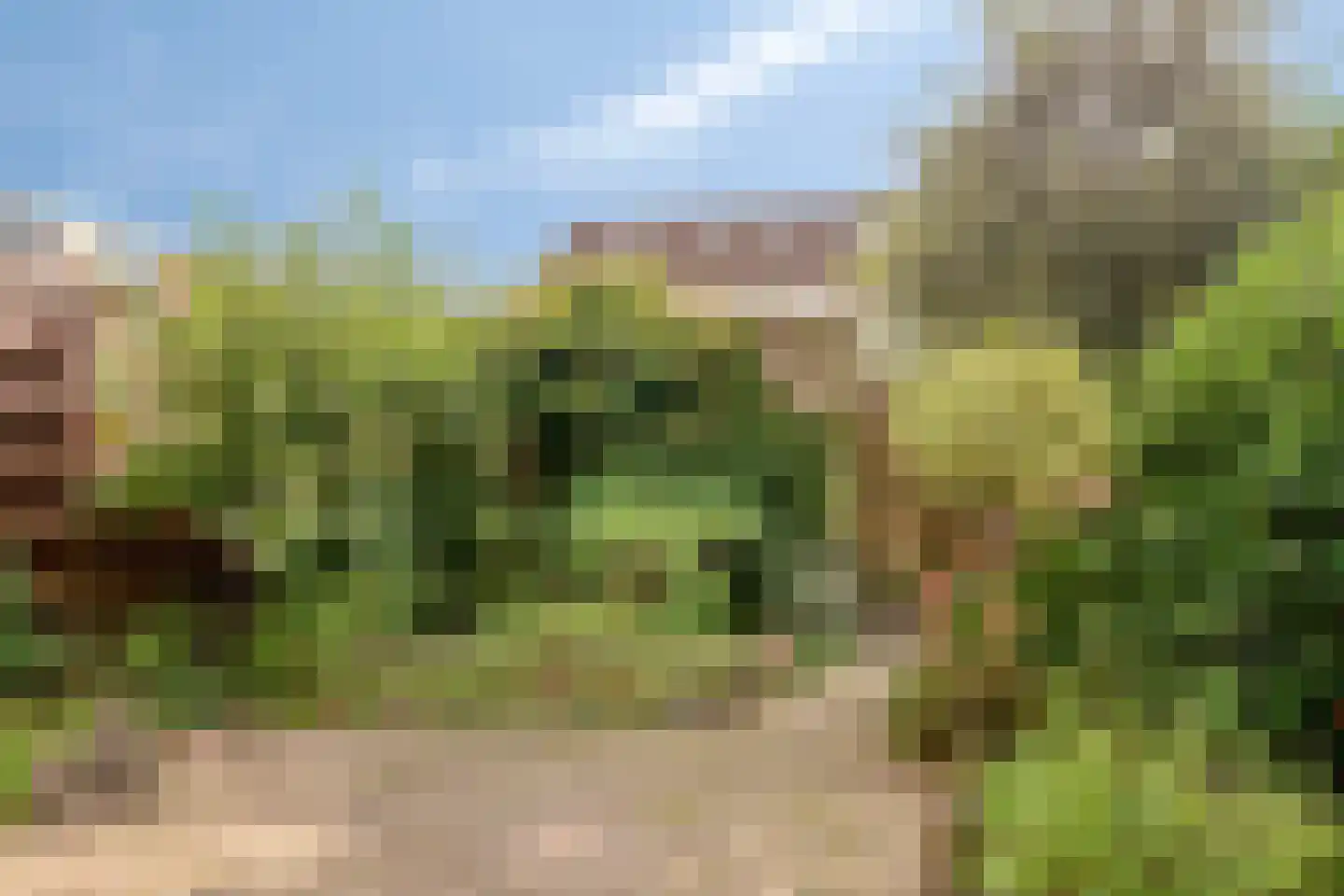 Schout 39 Naarden thumbnail 34