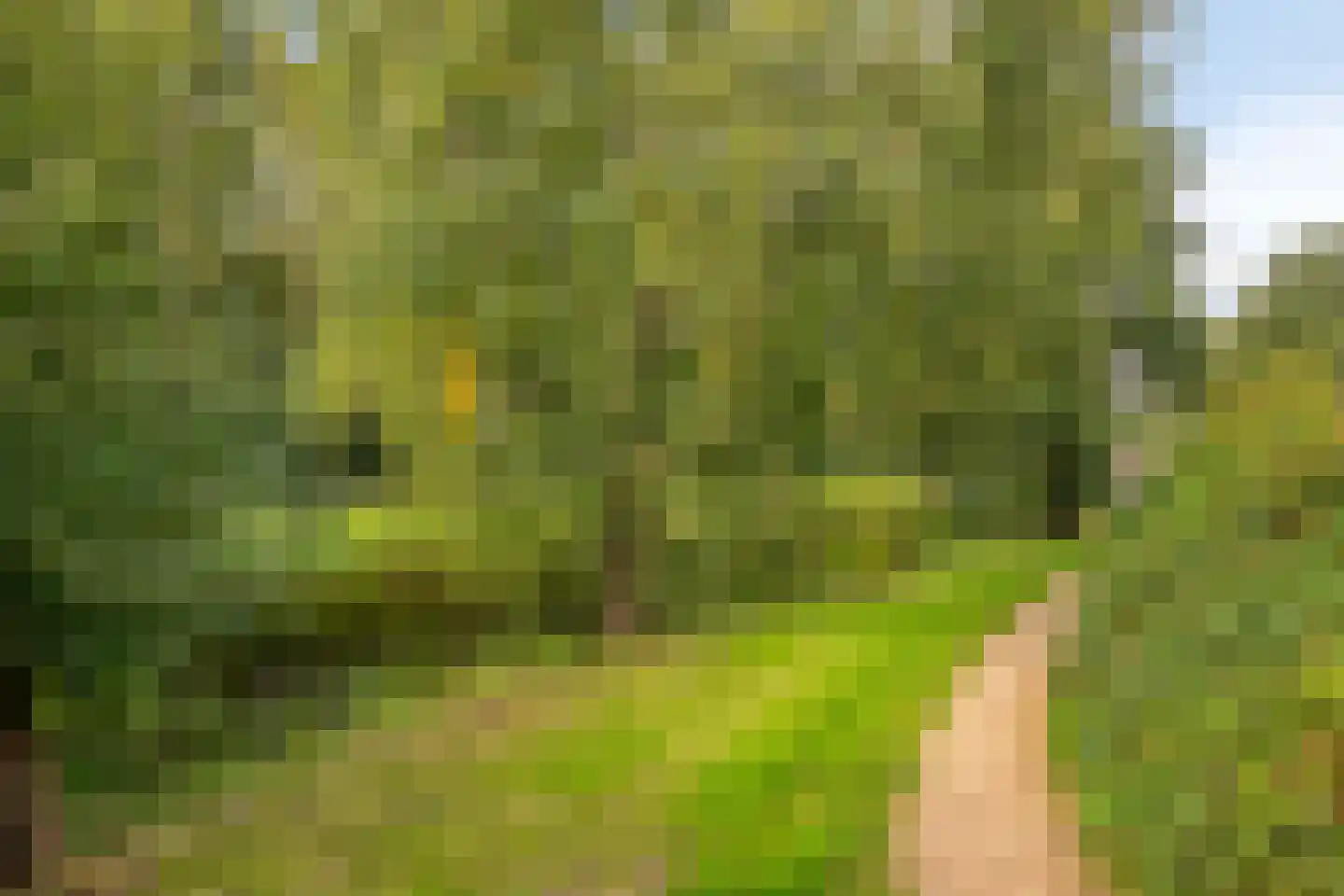 Schout 39 Naarden thumbnail 37