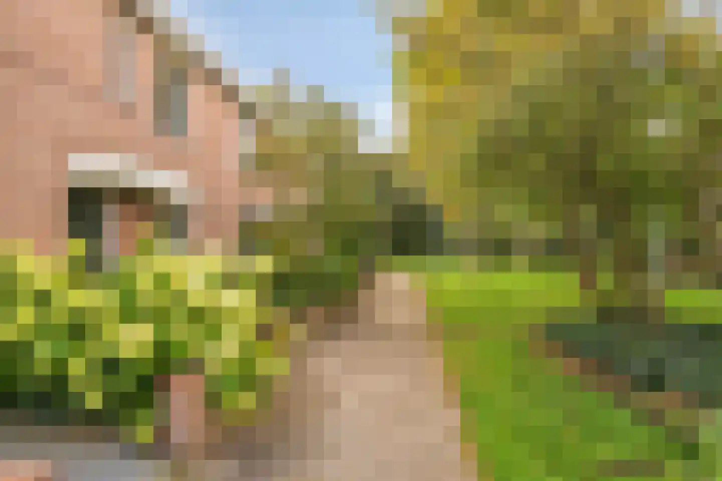 Schout 39 Naarden thumbnail 6
