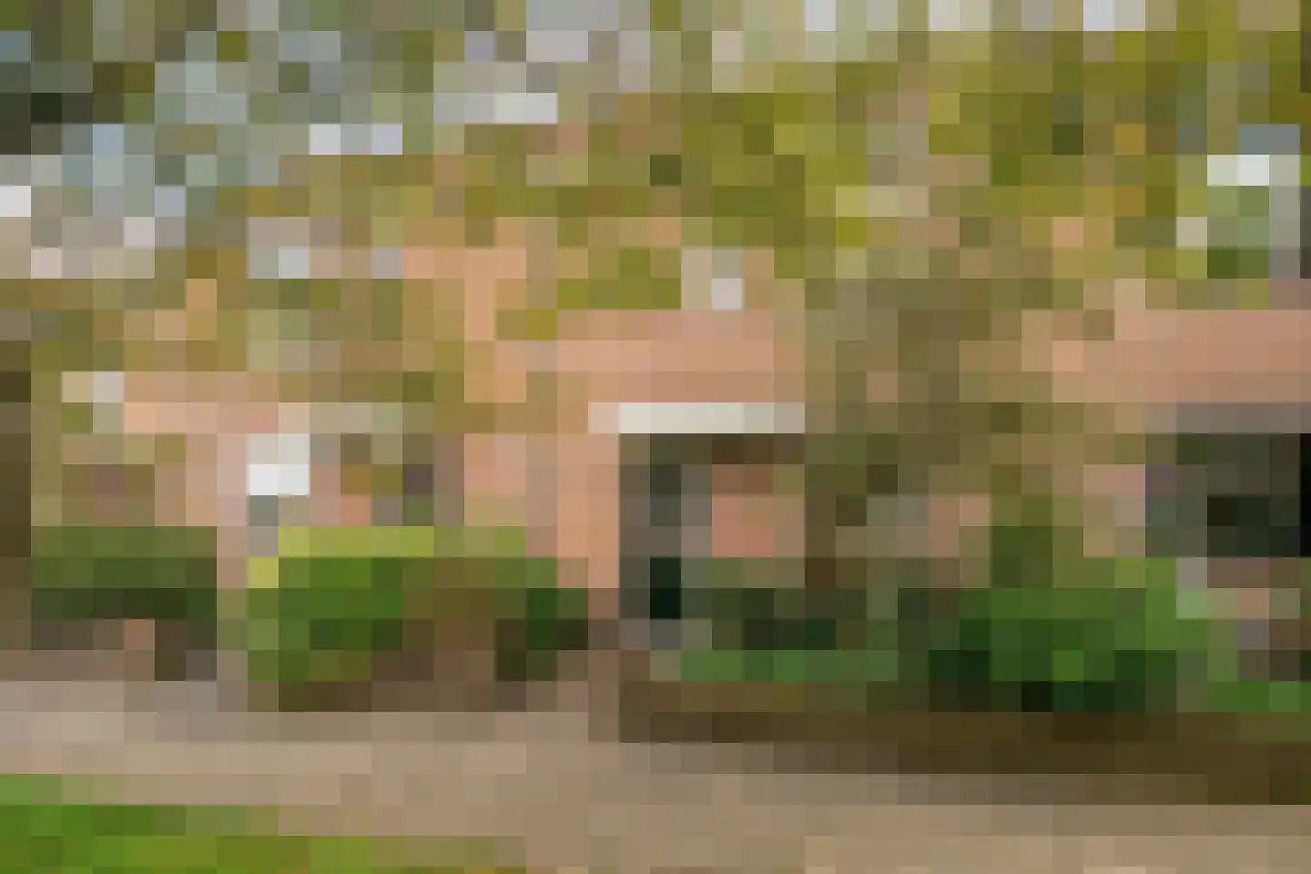 Schout 39 Naarden thumbnail 7
