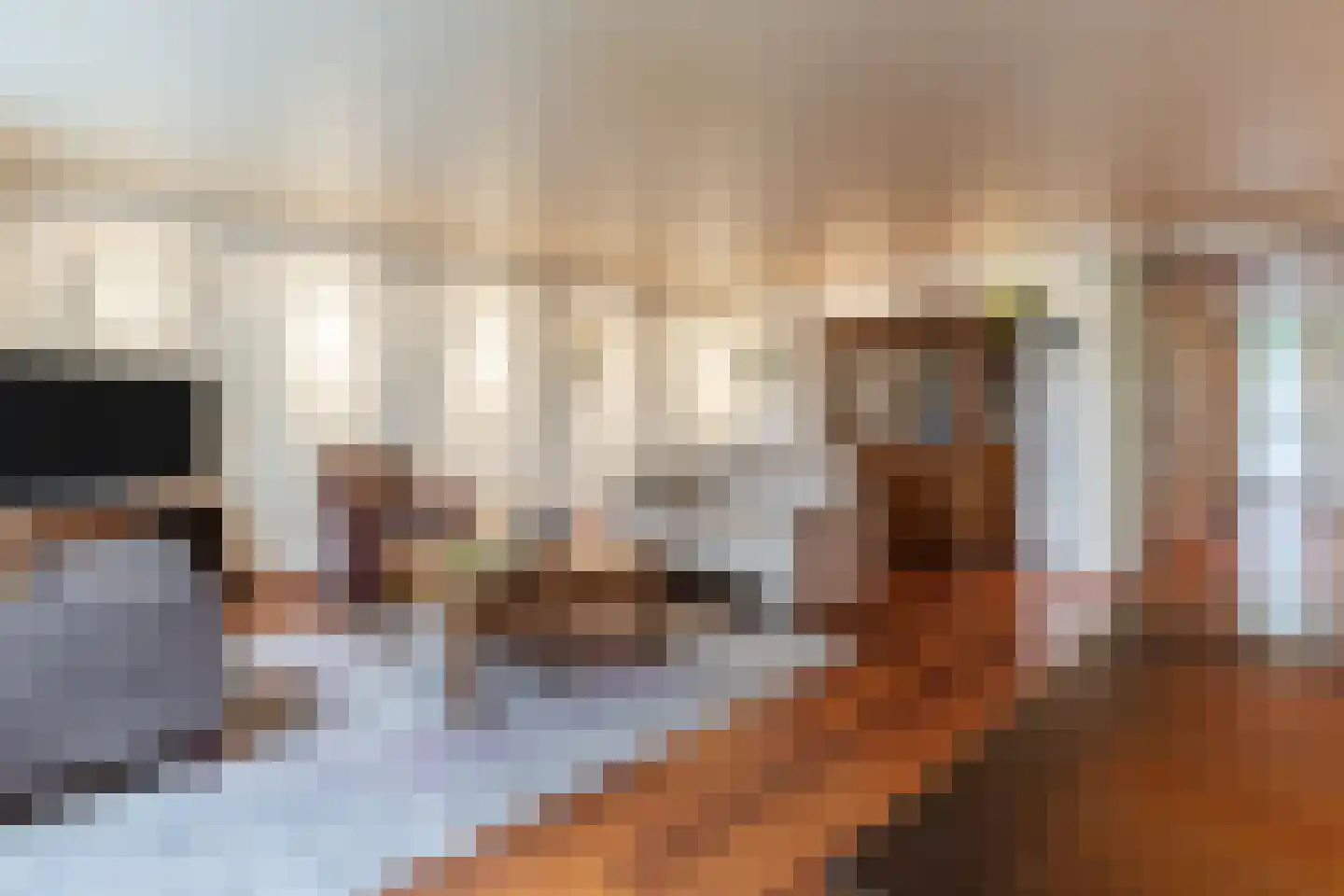 Schout 40 Zuid-Scharwoude thumbnail 10