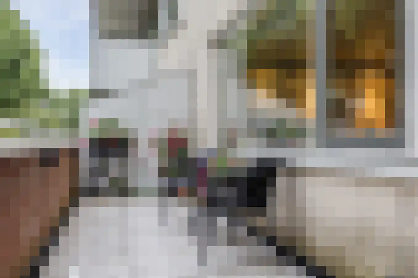 Schout 40 Zuid-Scharwoude thumbnail 25