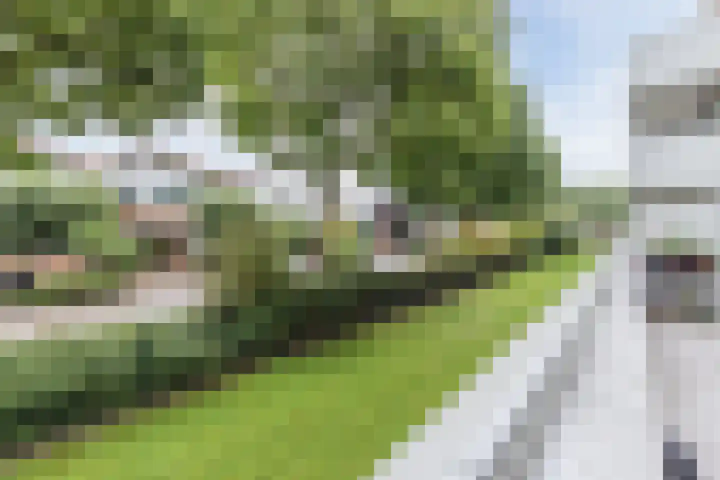 Schout 40 Zuid-Scharwoude thumbnail 26
