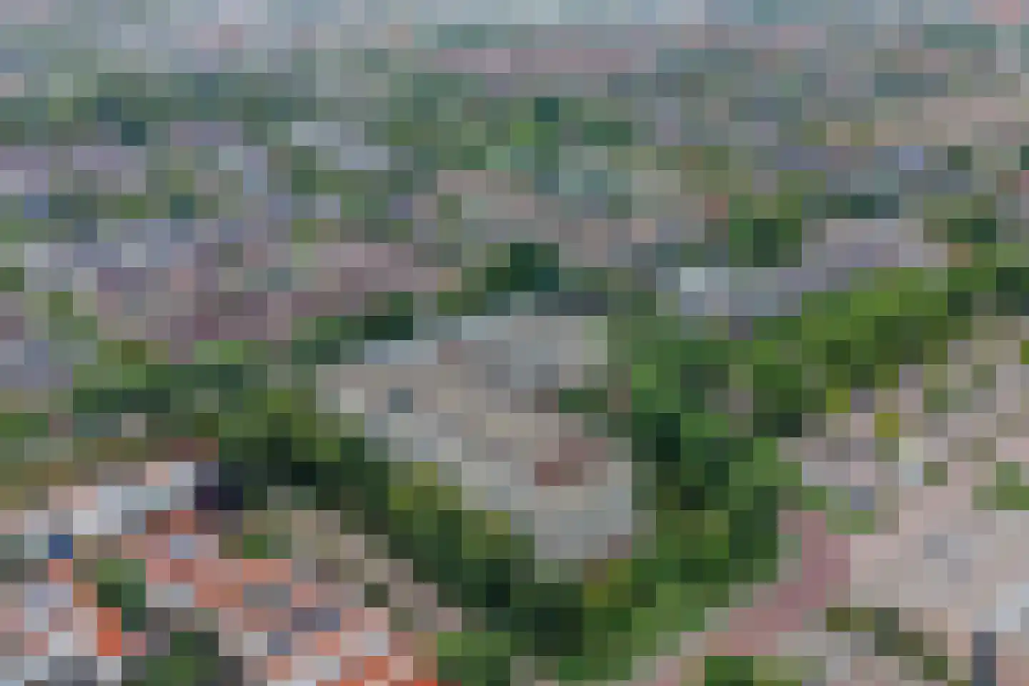 Schout 40 Zuid-Scharwoude thumbnail 35