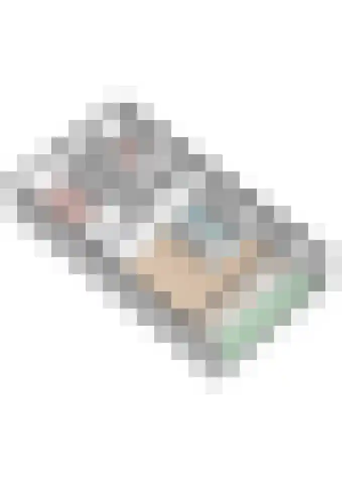 Schout 40 Zuid-Scharwoude thumbnail 38
