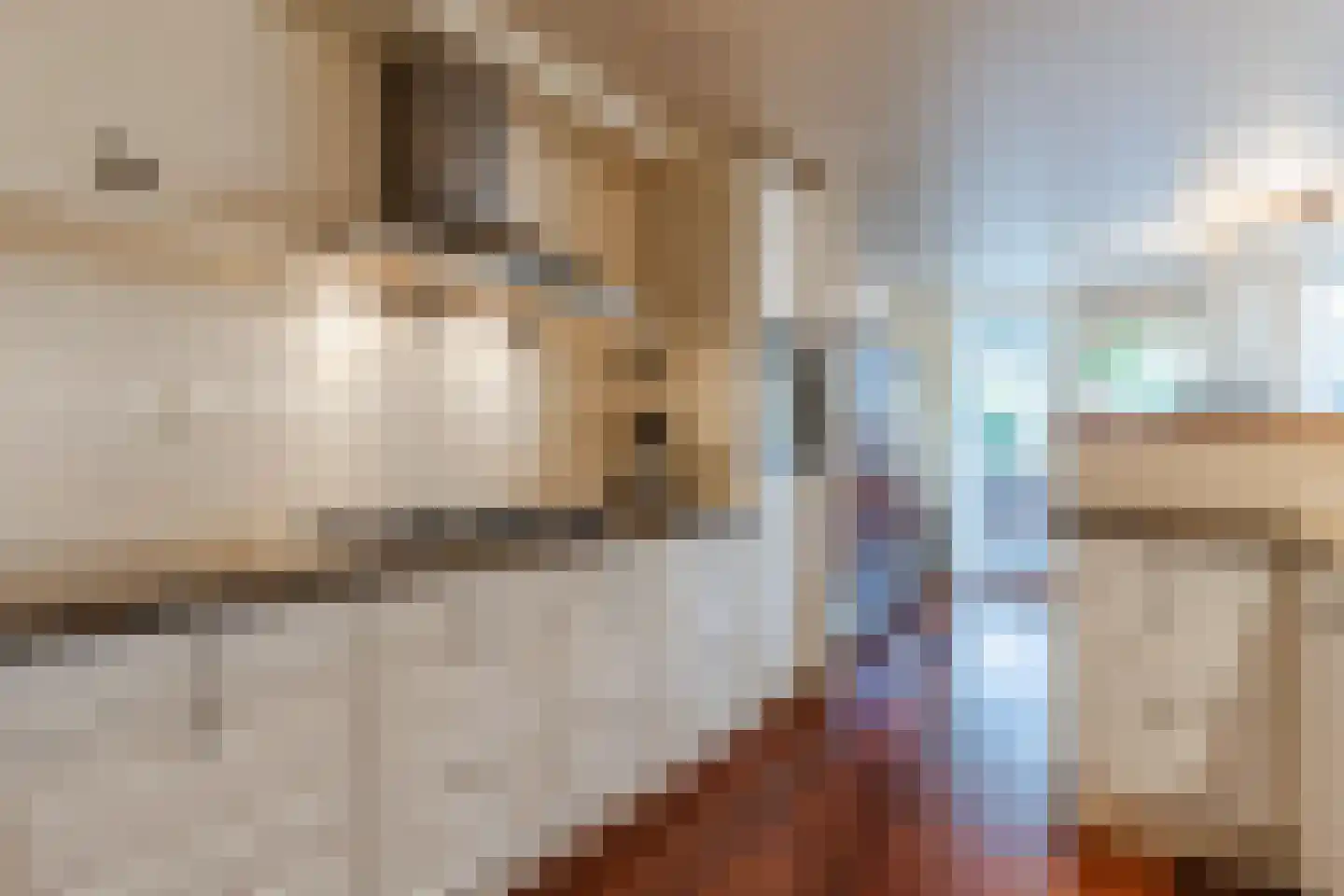 Schout 40 Zuid-Scharwoude thumbnail 6