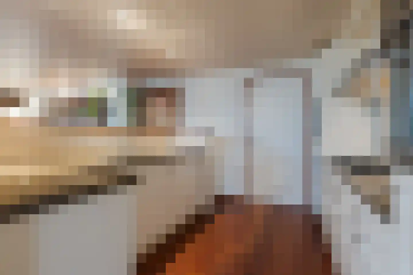Schout 40 Zuid-Scharwoude thumbnail 7
