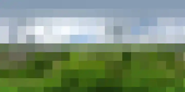 Schout 46 Naarden thumbnail 29
