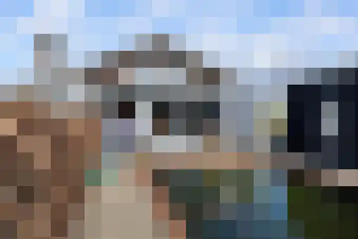 Schout 46 Naarden thumbnail 8
