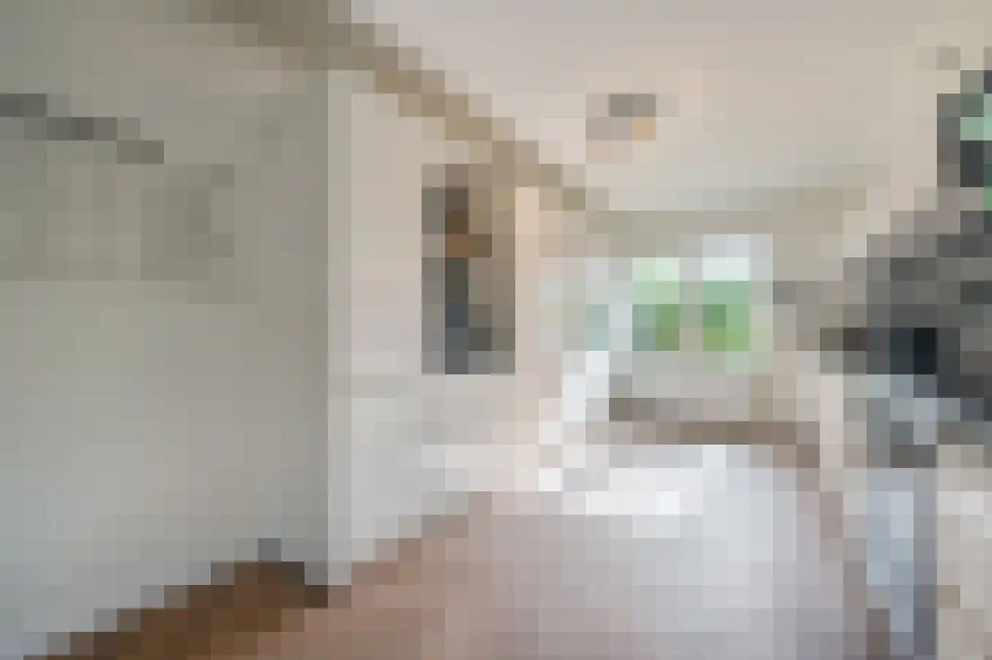 Schout 5 Assendelft thumbnail 10