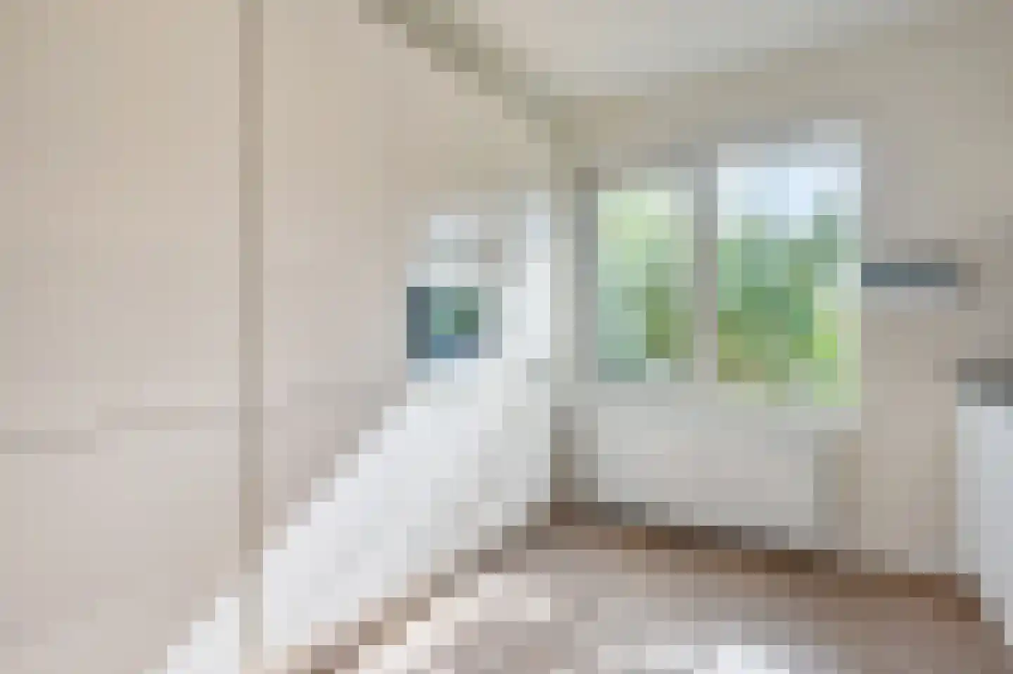 Schout 5 Assendelft thumbnail 11