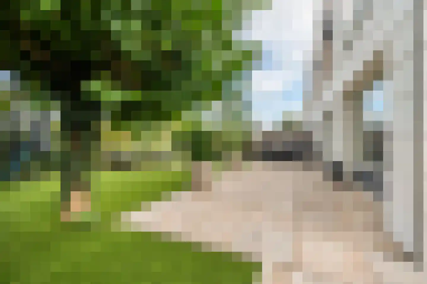 Schout 5 Assendelft thumbnail 15