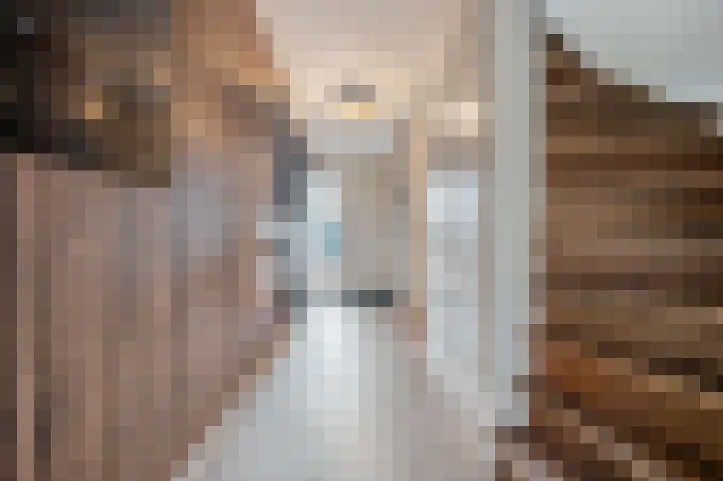 Schout 5 Assendelft thumbnail 21
