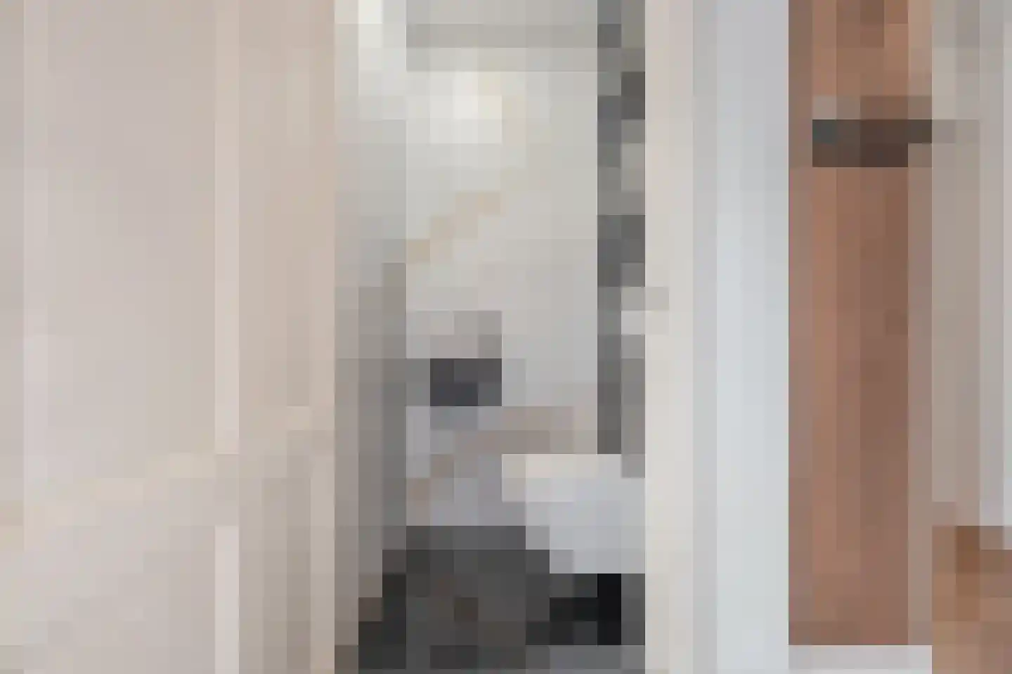 Schout 5 Assendelft thumbnail 22