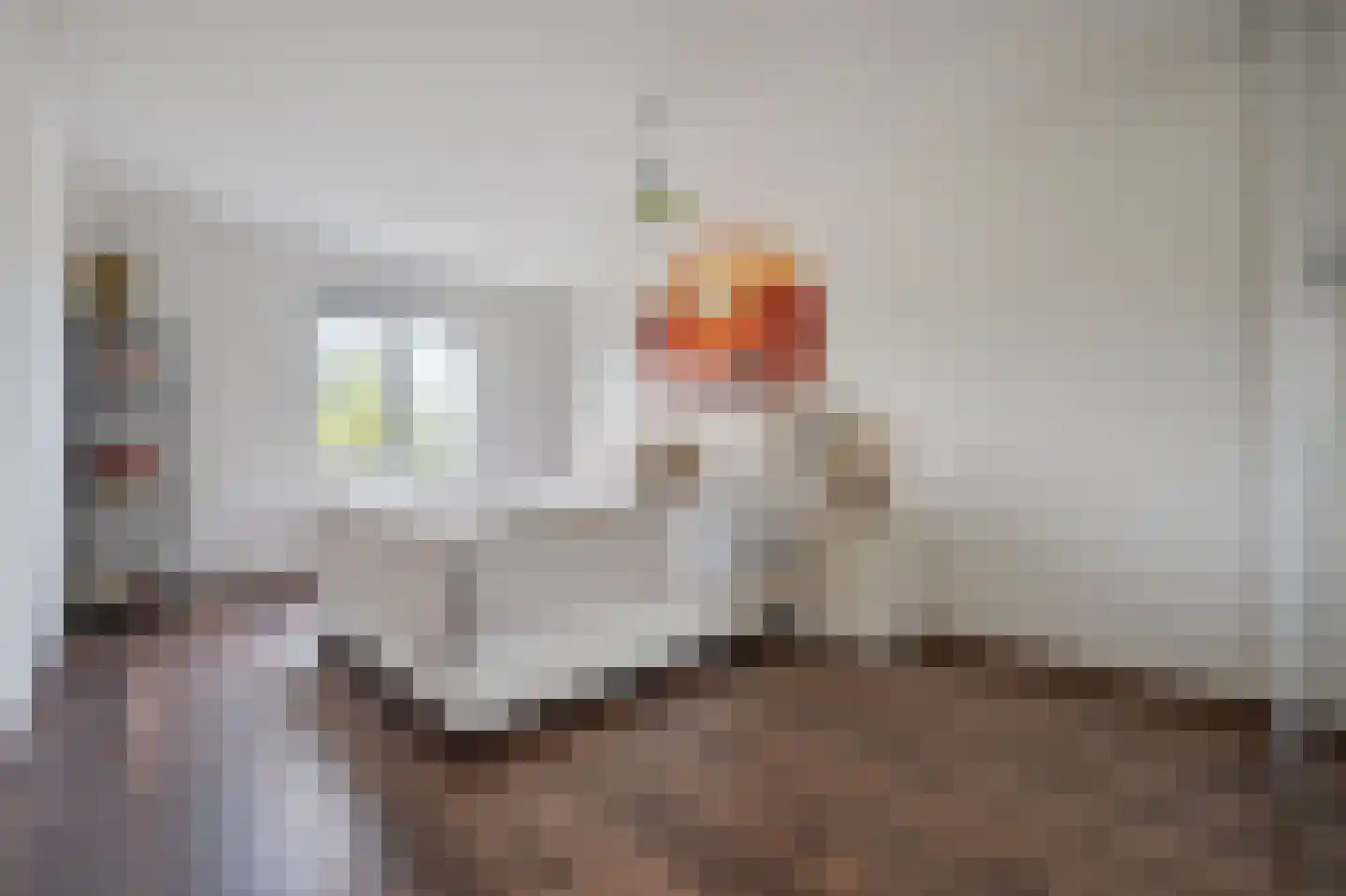 Schout 5 Assendelft thumbnail 33