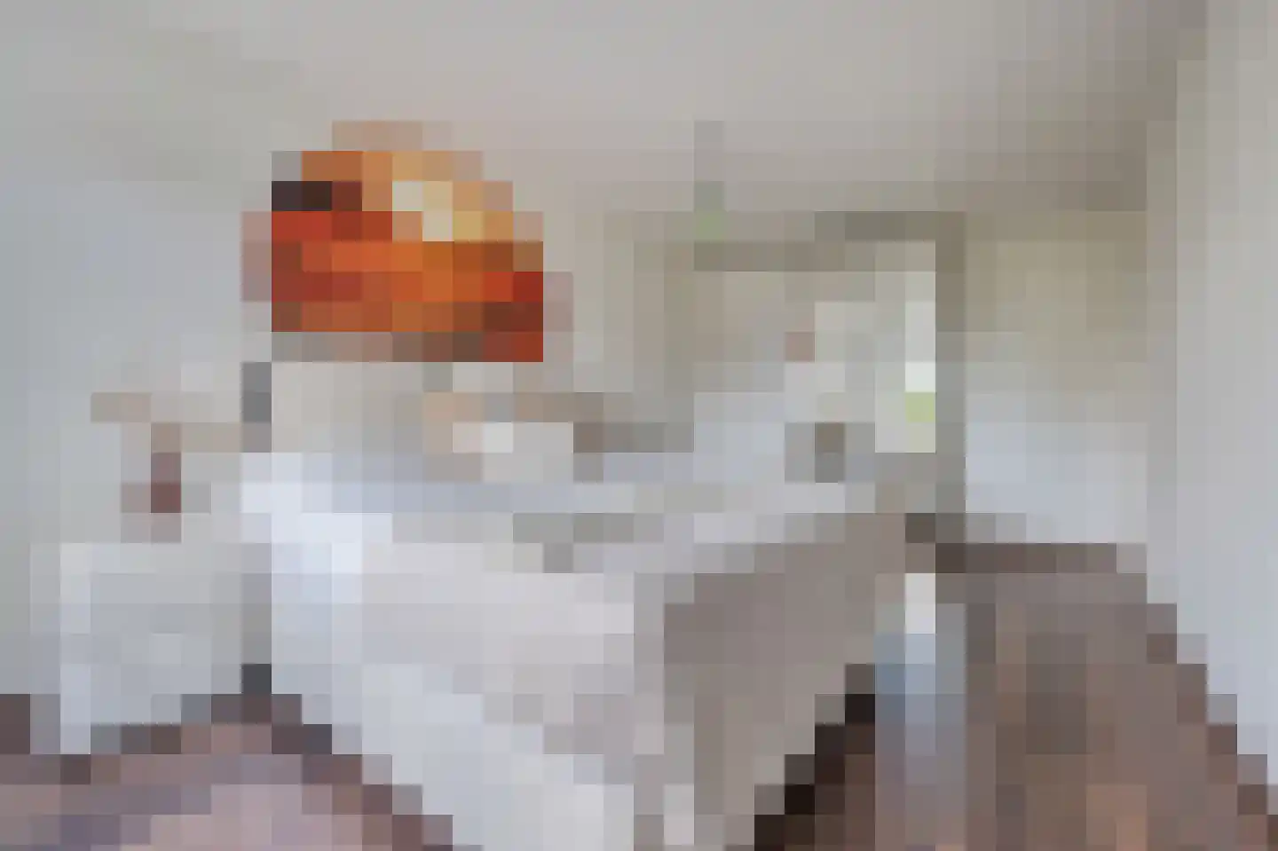 Schout 5 Assendelft thumbnail 34