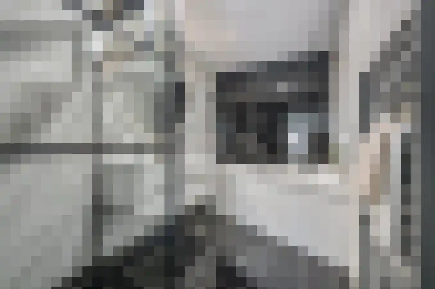 Schout 5 Assendelft thumbnail 35