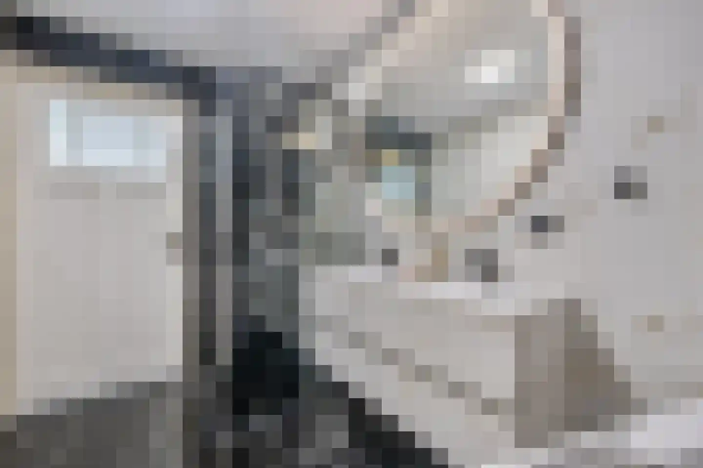 Schout 5 Assendelft thumbnail 37