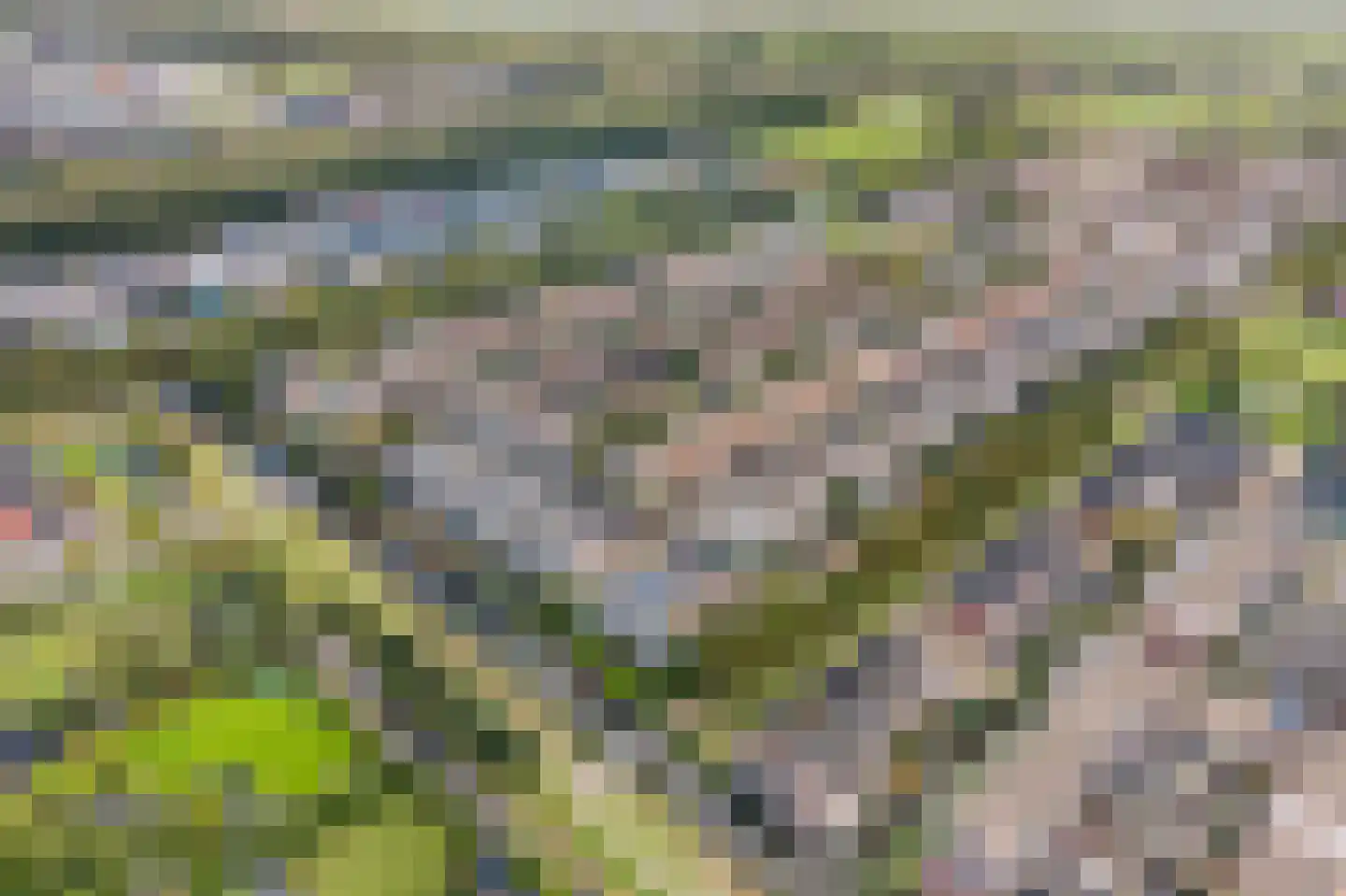 Schout 5 Assendelft thumbnail 46